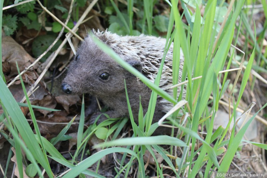 С мечтами о лете — Домашние фото авторских игрушек: Тедди