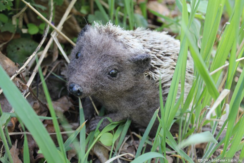 С мечтами о лете — Домашние фото авторских игрушек: Тедди (фото 2)