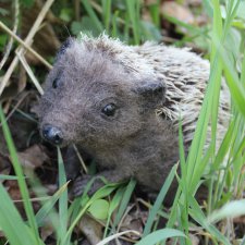 С мечтами о лете...