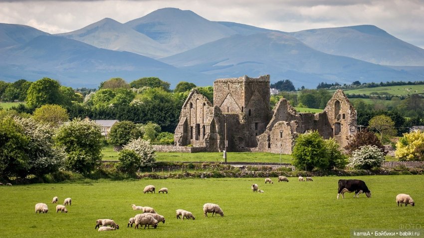 источник https://fotovmire.ru/irlandija-foto.html