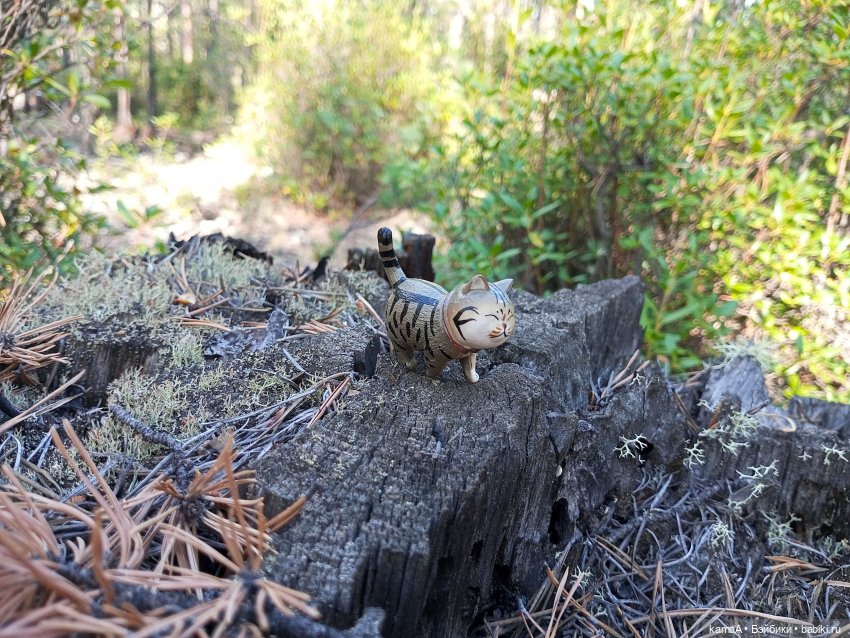 Немножко Энн из Зелёных Крыш и двух девчонок | Бэйбики Немножко Энн из Зелёных Крыш и двух девчонок