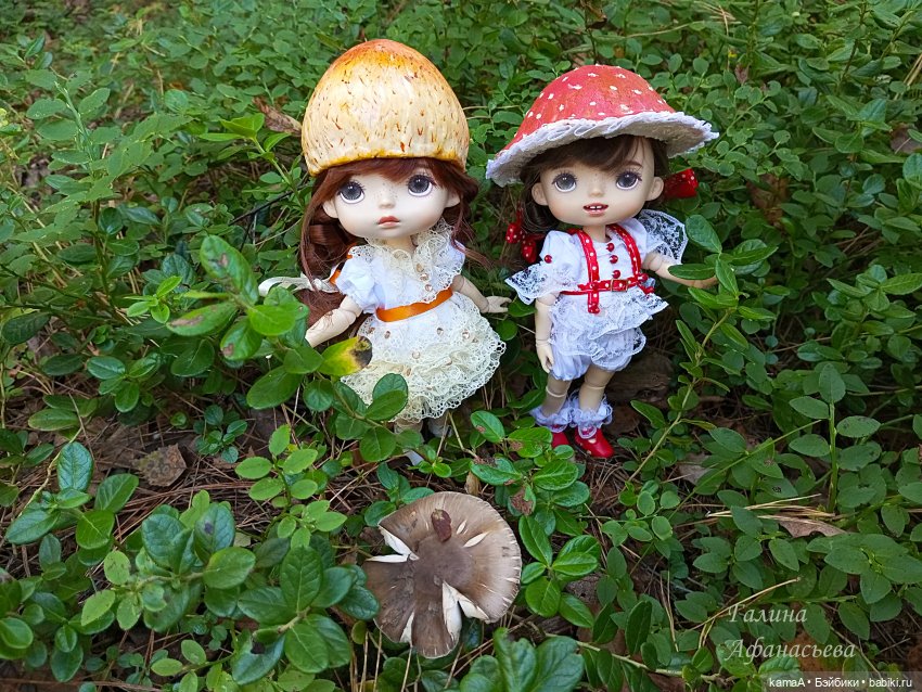 Волшебные грибочки — Куклы Paola Reina (Паола Рейна): новинки (фото 2)