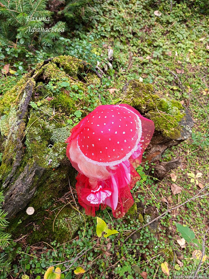 Волшебные грибочки — Куклы Paola Reina (Паола Рейна): новинки (фото 9)