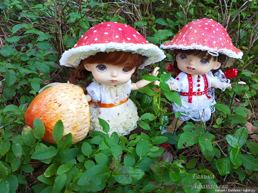 Волшебные грибочки — Куклы Paola Reina (Паола Рейна): новинки (фото 8)