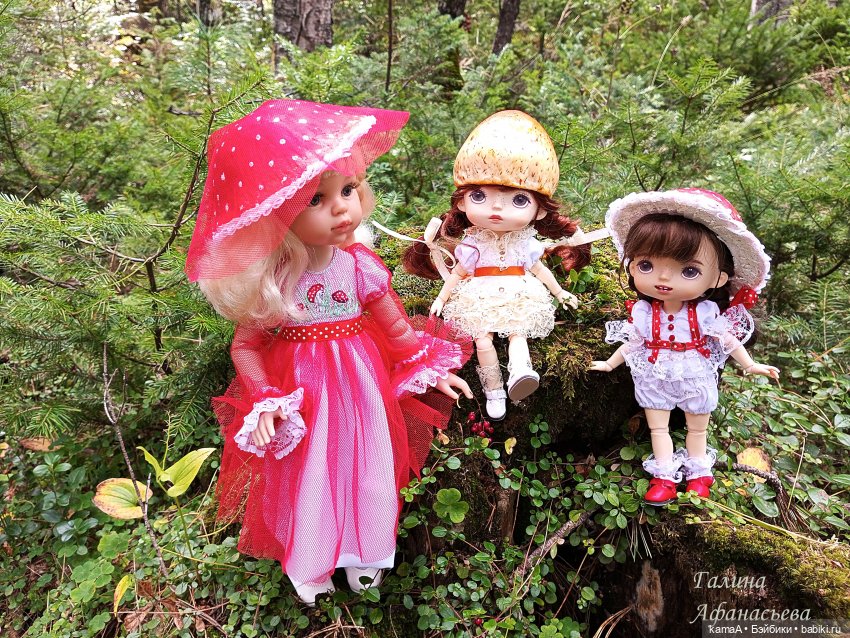 Волшебные грибочки — Куклы Paola Reina (Паола Рейна): новинки