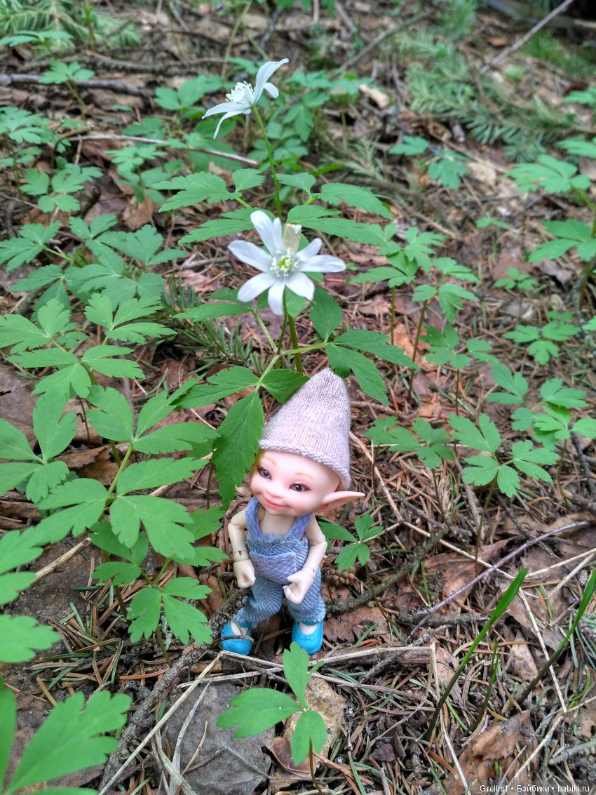 Кузя - строитель. Часть 1. Дачные прогулки (фото 7)