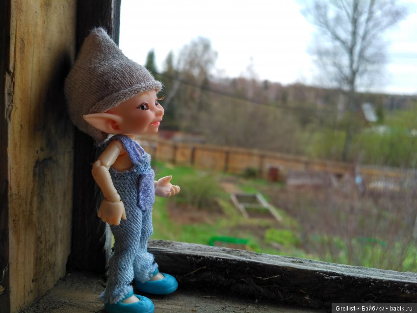 Кузя - строитель. Часть 1. Дачные прогулки (фото 4)