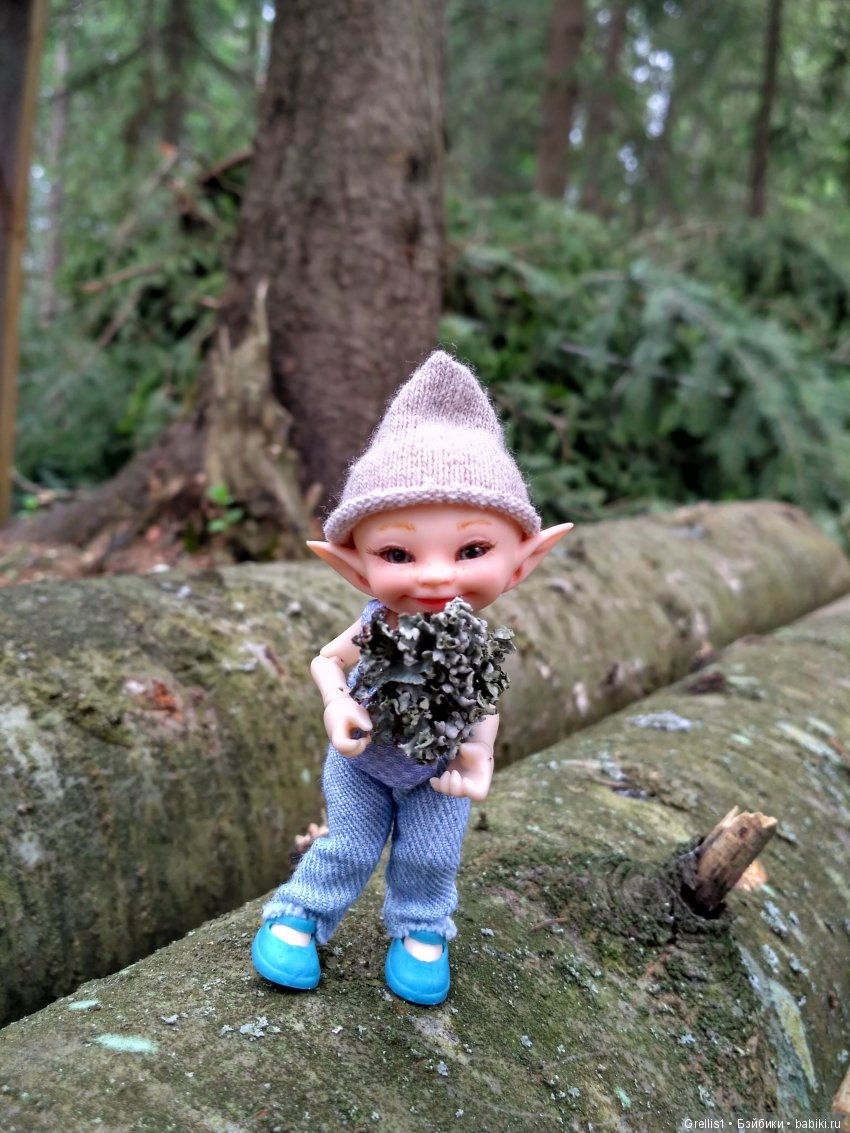 Кузя - строитель. Часть 1. Дачные прогулки (фото 8)