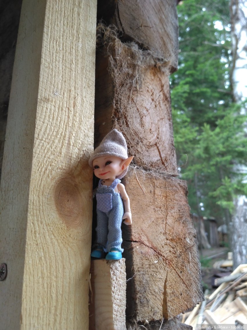 Кузя - строитель. Часть 1. Дачные прогулки (фото 3)