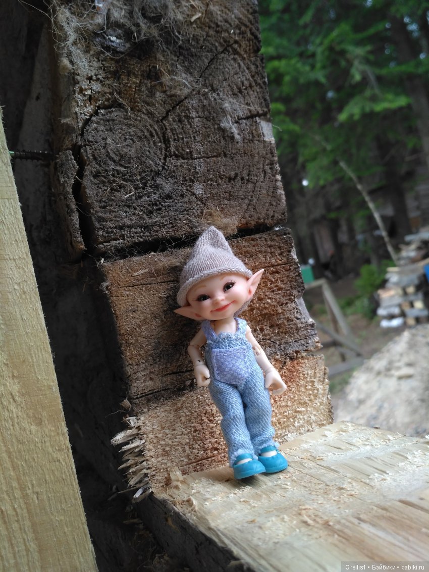 Кузя - строитель. Часть 1. Дачные прогулки (фото 2)