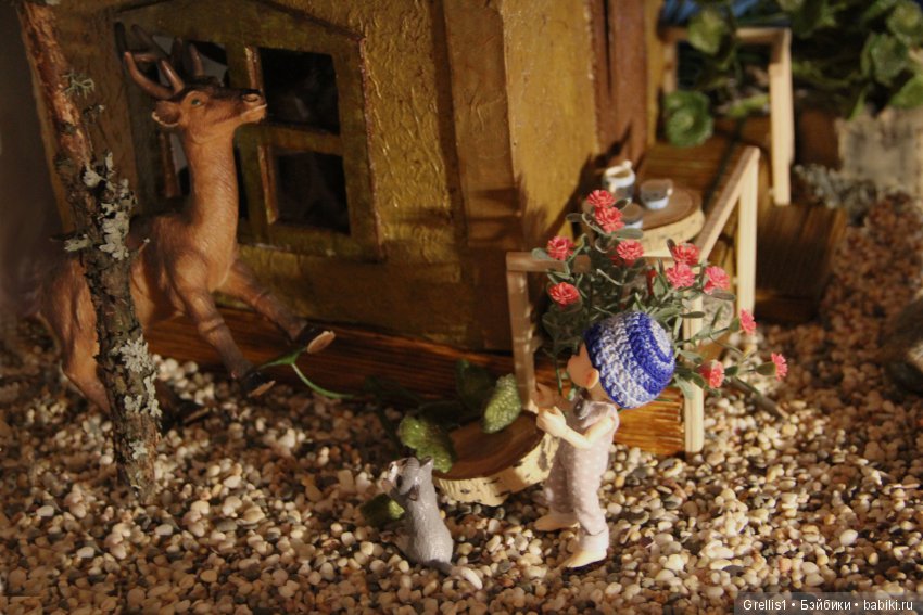 Бессонница. Новый друг Кузи (фото 7)