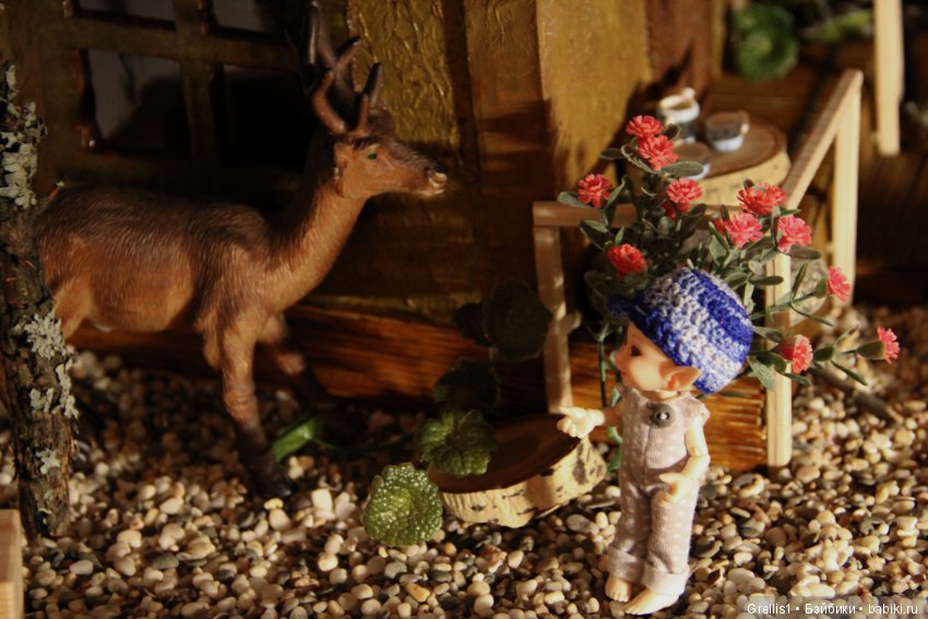 Бессонница. Новый друг Кузи (фото 6)