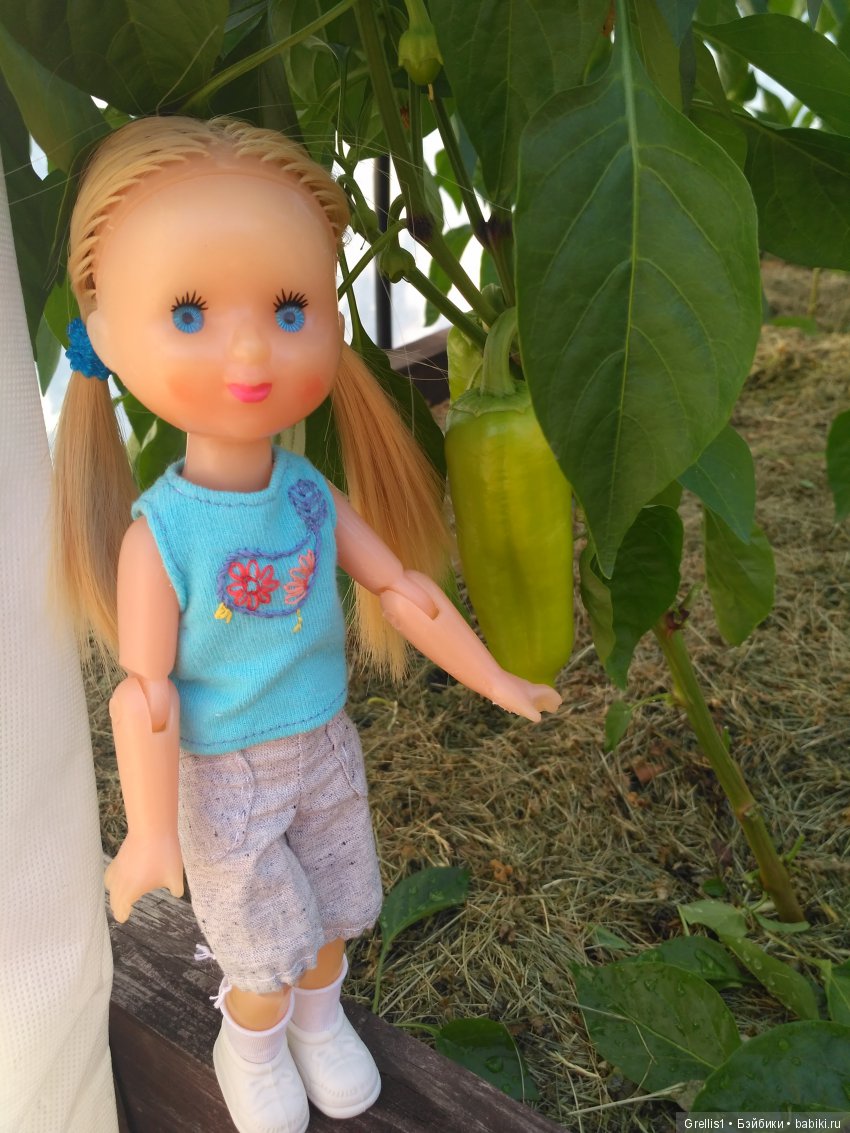 Шарнирное лето. Рыбалка, цветочки и девчонки (фото 2)