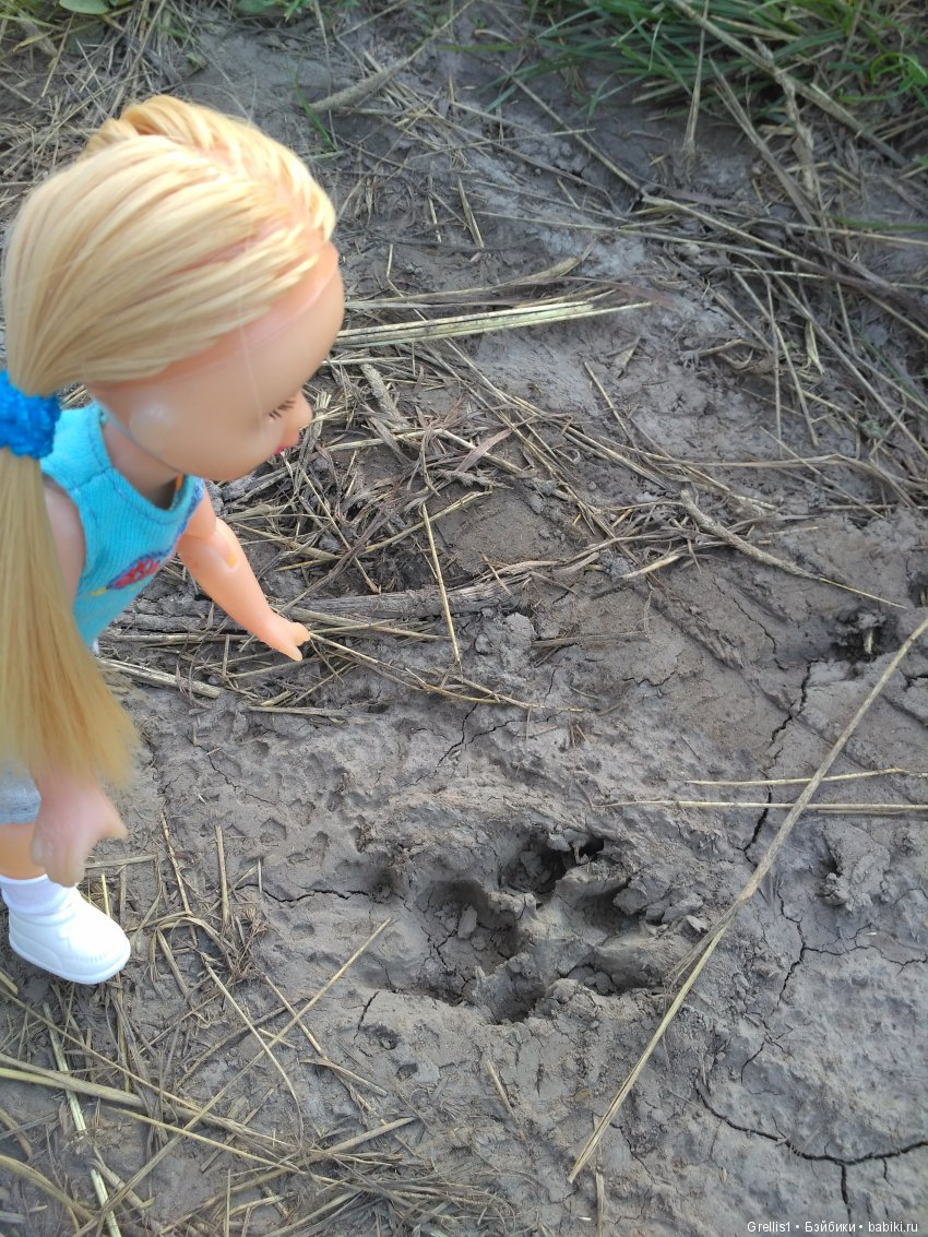 Шарнирное лето. Рыбалка, цветочки и девчонки