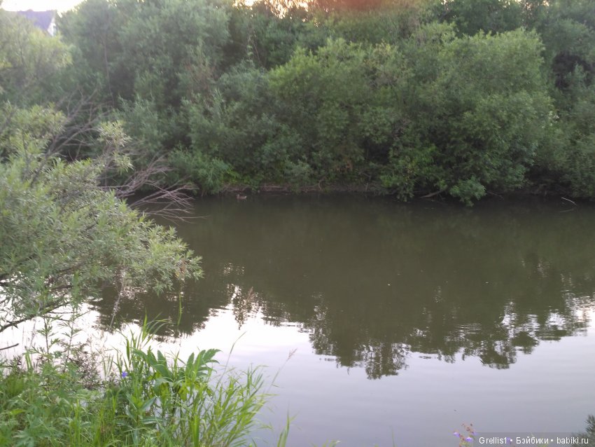 Шарнирное лето. Рыбалка, цветочки и девчонки (фото 8)