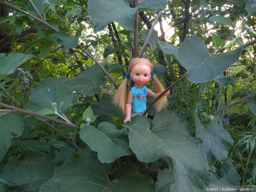 Шарнирное лето. Рыбалка, цветочки и девчонки