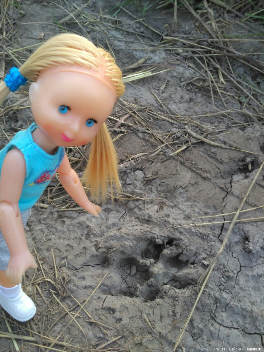 Шарнирное лето. Рыбалка, цветочки и девчонки