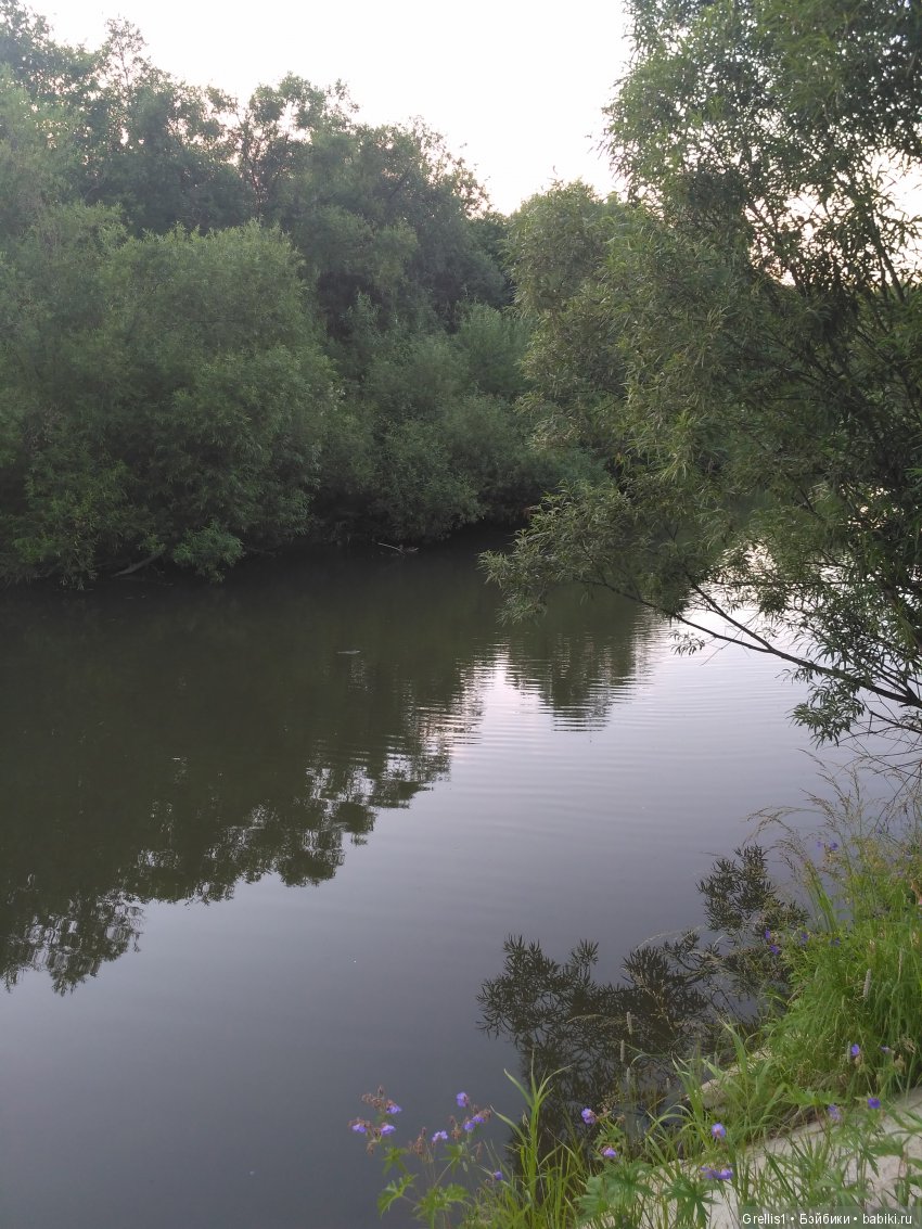 Шарнирное лето. Рыбалка, цветочки и девчонки (фото 9)