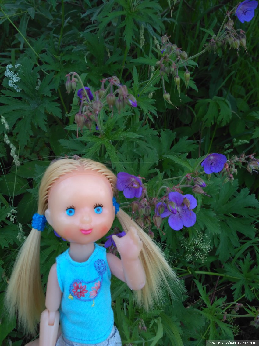 Шарнирное лето. Рыбалка, цветочки и девчонки (фото 10)