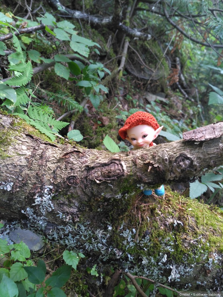 Прогулка с Кузей по лесу — Куклы Fairyland (ФэйриЛэнд): BJD (БЖД) (фото 7)
