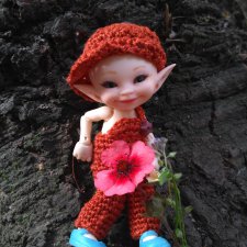 Прогулка с Кузей по лесу