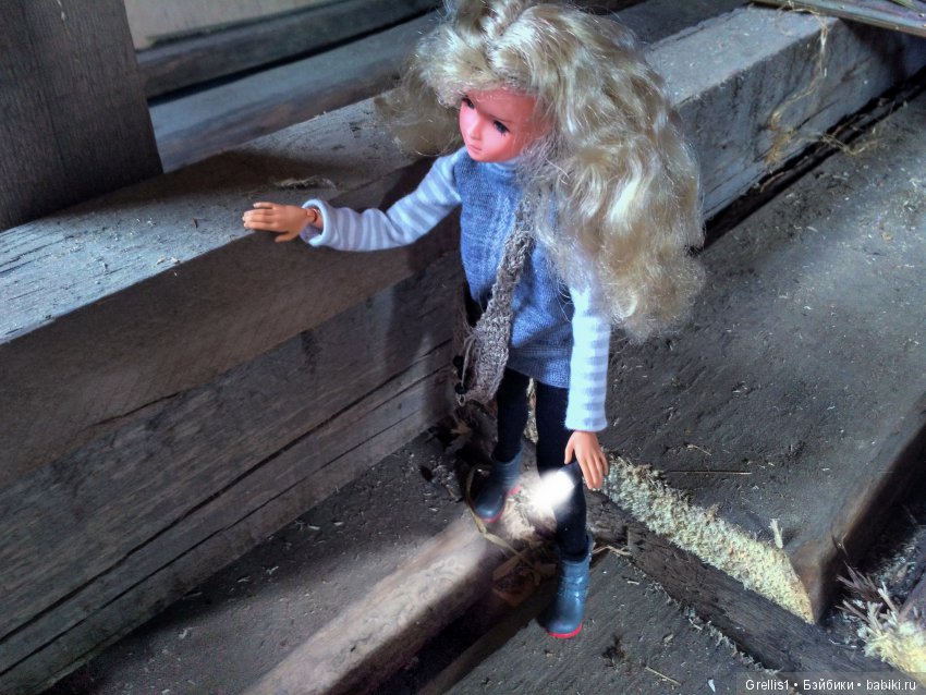 Находки. Сёстры Ч — Кукольные фотоистории и сериалы: комиксы (фото 4)