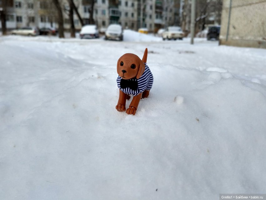 Зимние прогулки Ромки и Вольта (фото 3)