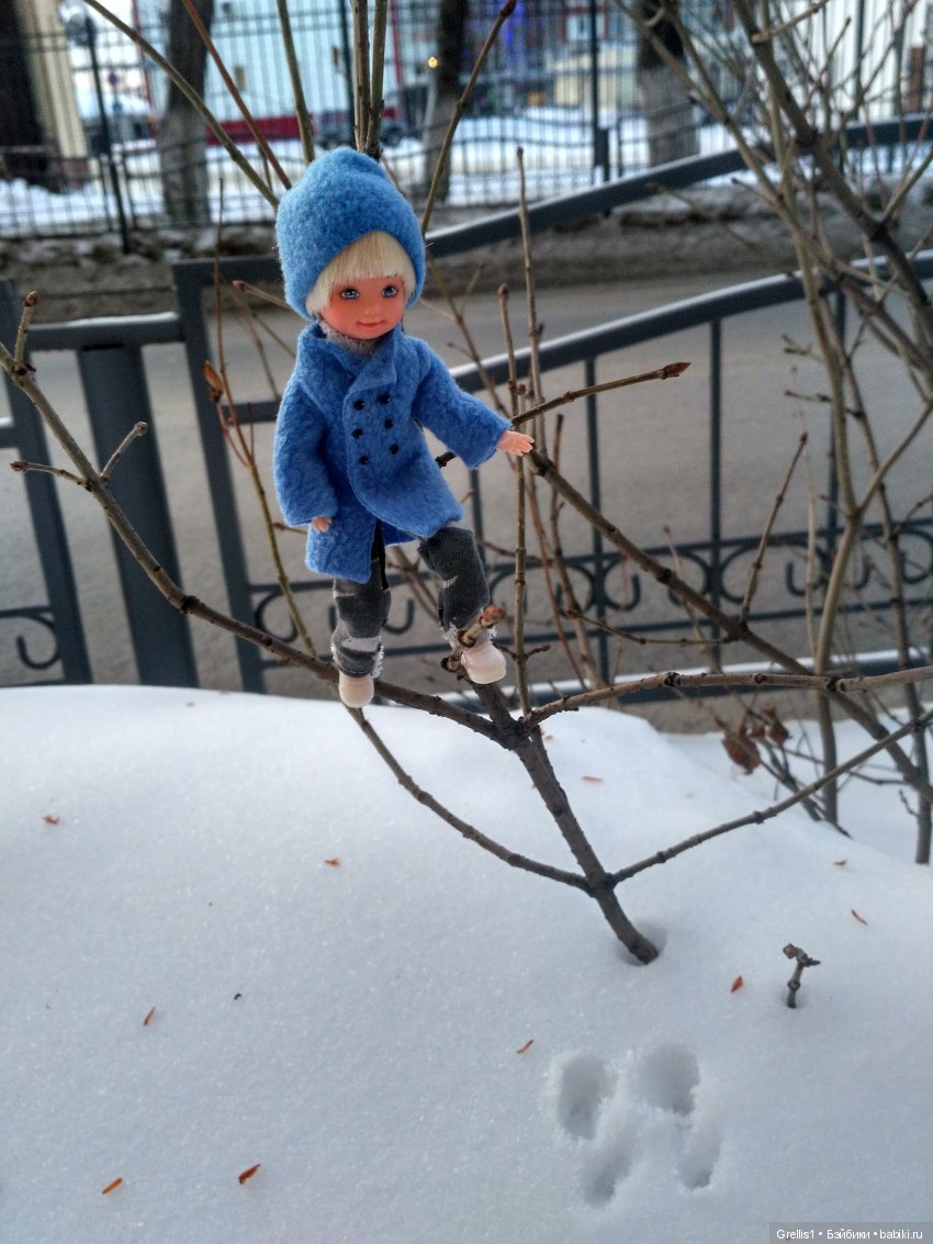 Зимние прогулки Ромки и Вольта