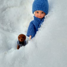 Зимние прогулки Ромки и Вольта.