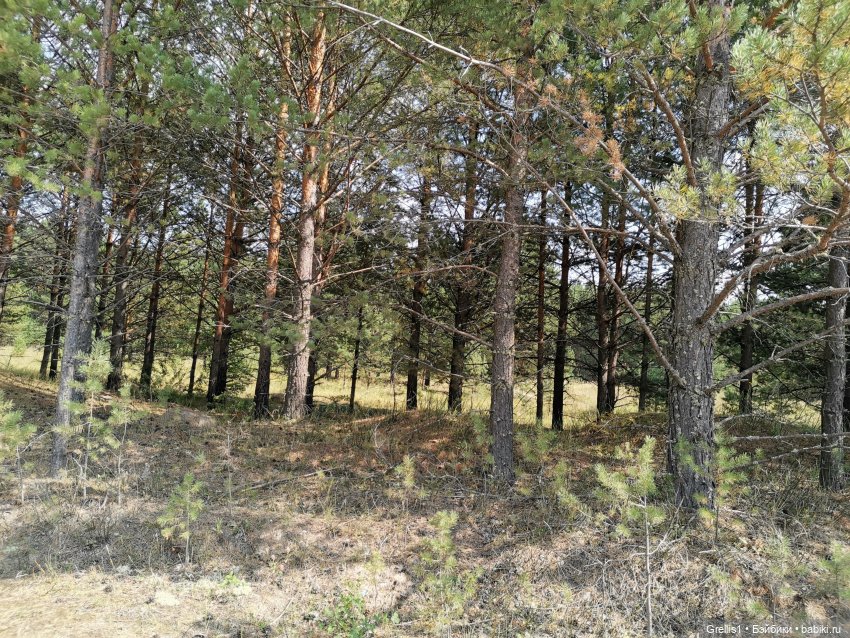 Кузя в лесу | Бэйбики Кузя в лесу — Куклы Fairyland (ФэйриЛэнд): BJD (БЖД)