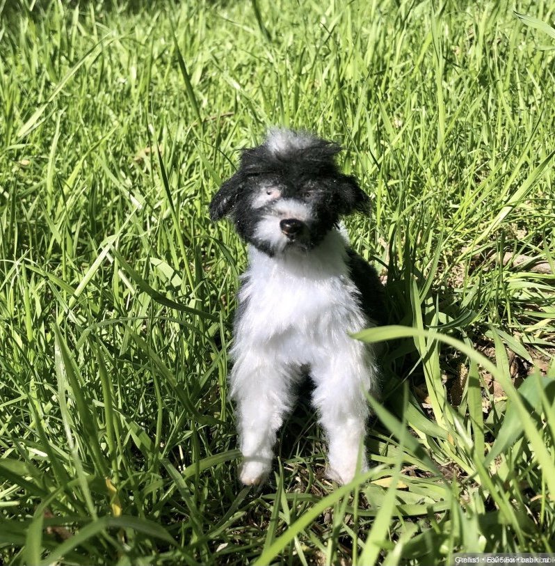 Морозко. 1 серия — Кукольные фотоистории и сериалы: комиксы