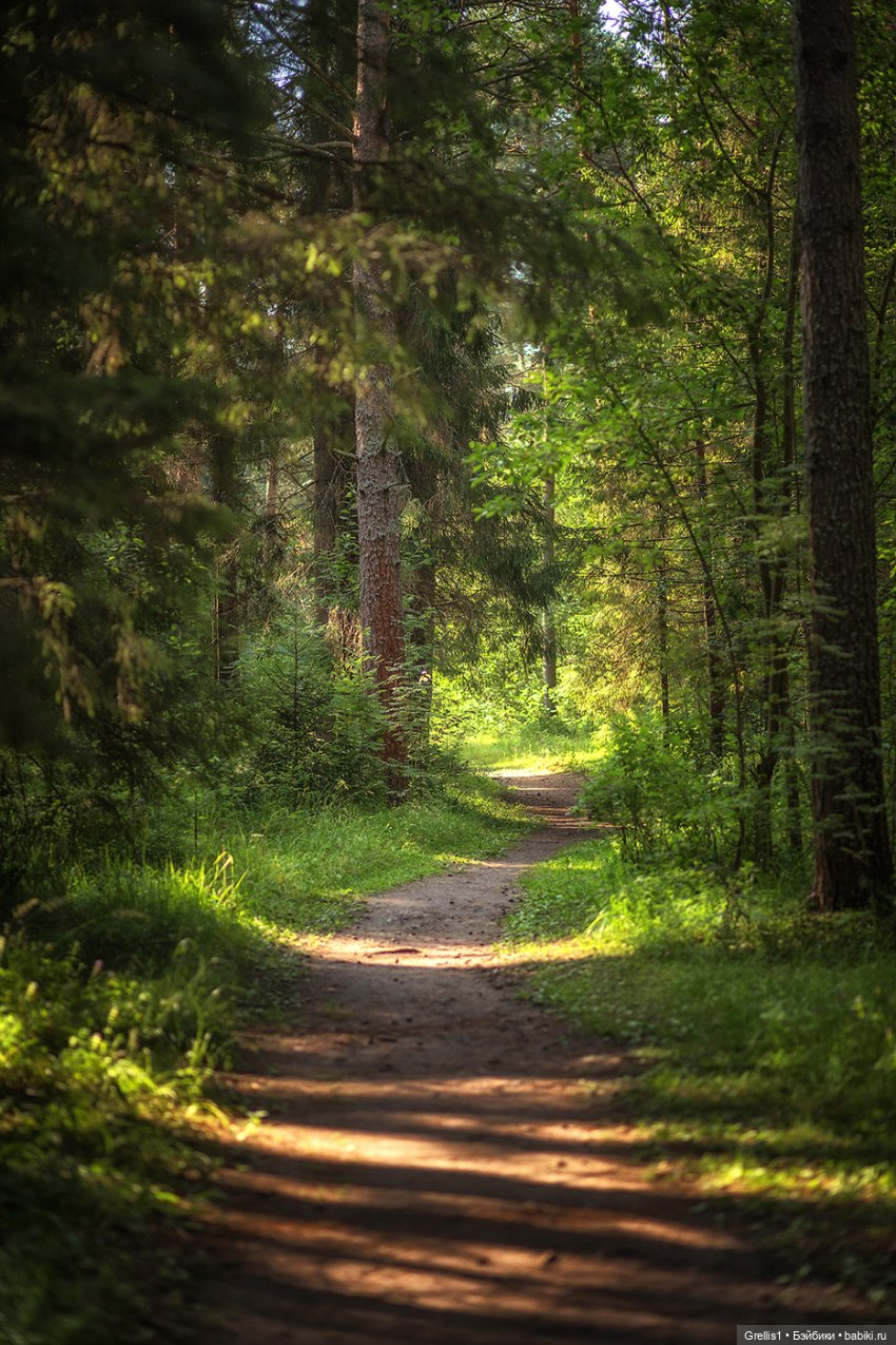 Морозко. 1 серия — Кукольные фотоистории и сериалы: комиксы