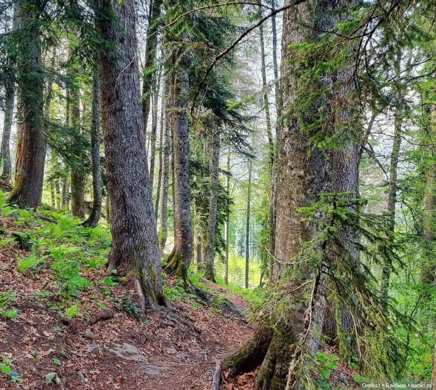 Морозко. 1 серия — Кукольные фотоистории и сериалы: комиксы