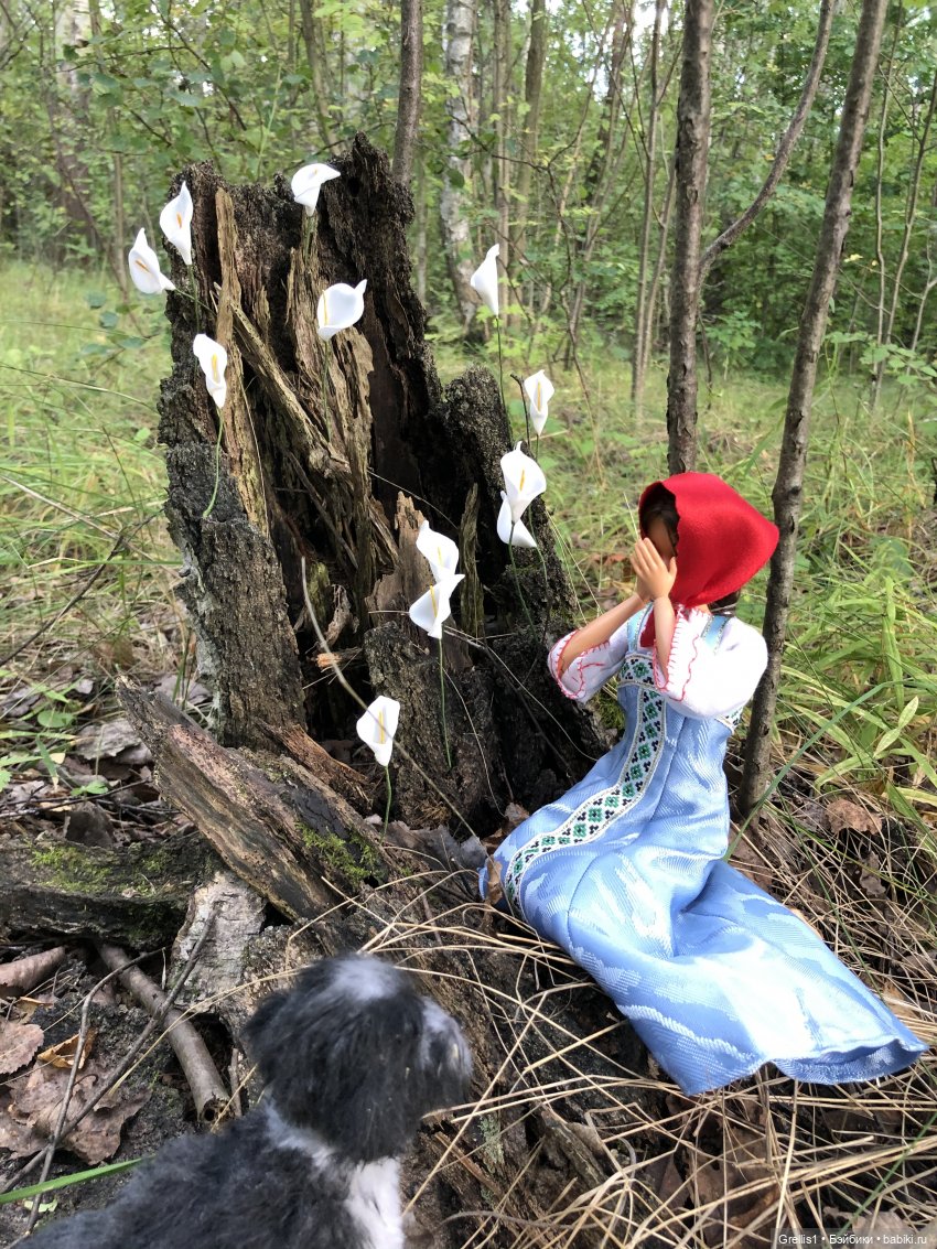 Морозко. 1 серия — Кукольные фотоистории и сериалы: комиксы