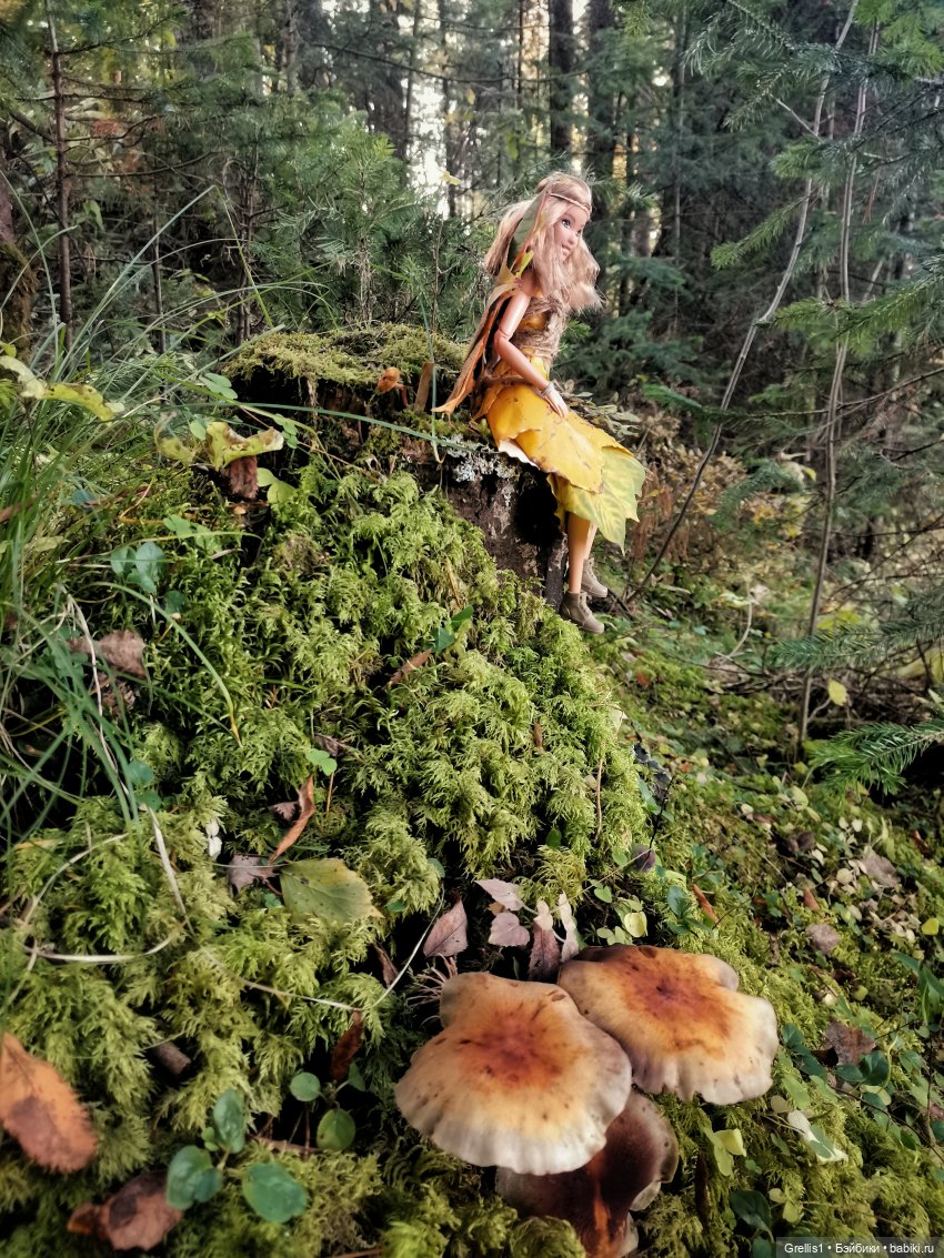 "Осенняя феерия" - 2022. "Феи осеннего леса" (фото 2)