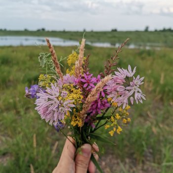 Напоминалка про "Летний букетик"