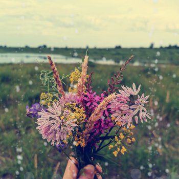 Выставка "Летний букетик"