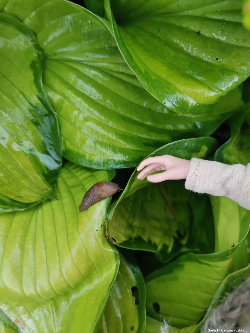 Диаваль в гостях у Руса — Кукольные фотоистории и сериалы: комиксы