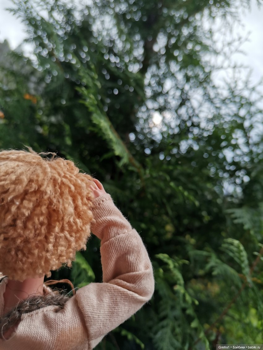 Диаваль в гостях у Руса — Кукольные фотоистории и сериалы: комиксы