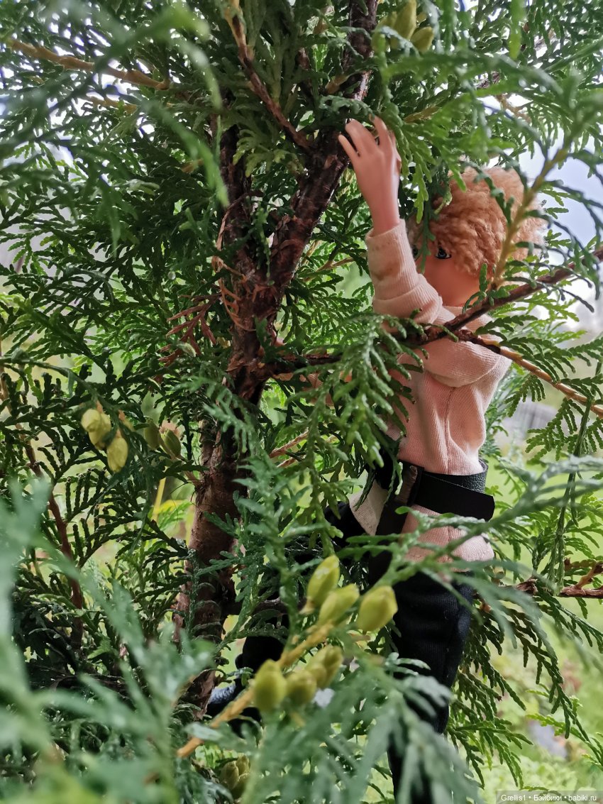 Диаваль в гостях у Руса — Кукольные фотоистории и сериалы: комиксы