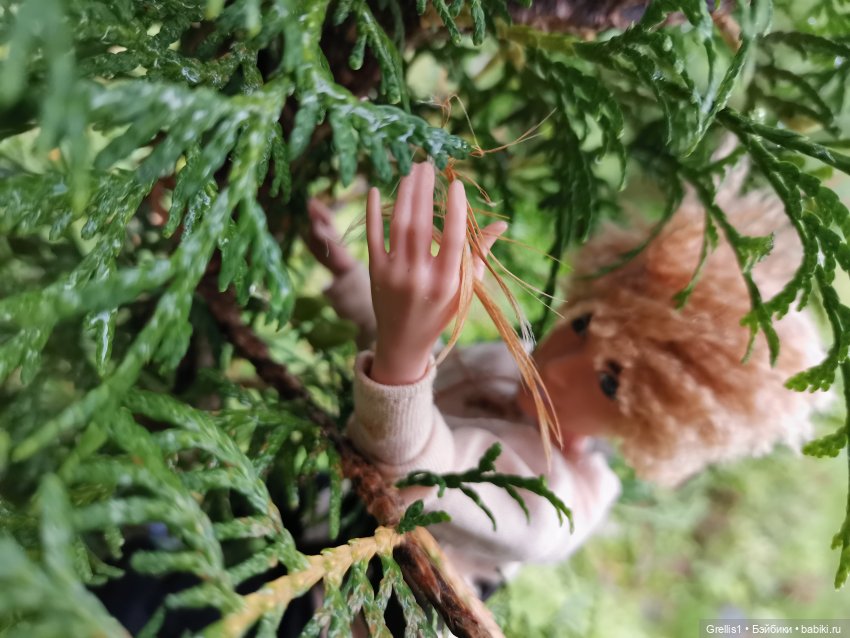 Диаваль в гостях у Руса — Кукольные фотоистории и сериалы: комиксы