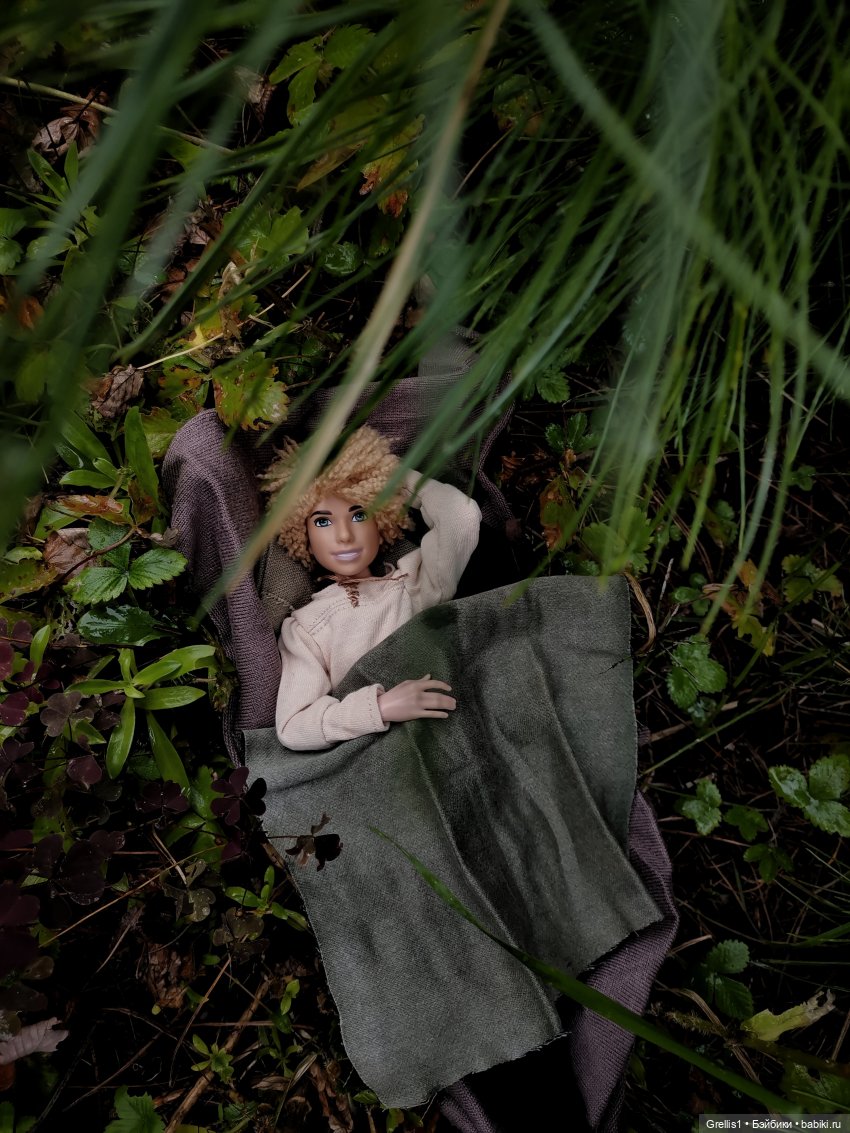 Диаваль в гостях у Руса — Кукольные фотоистории и сериалы: комиксы