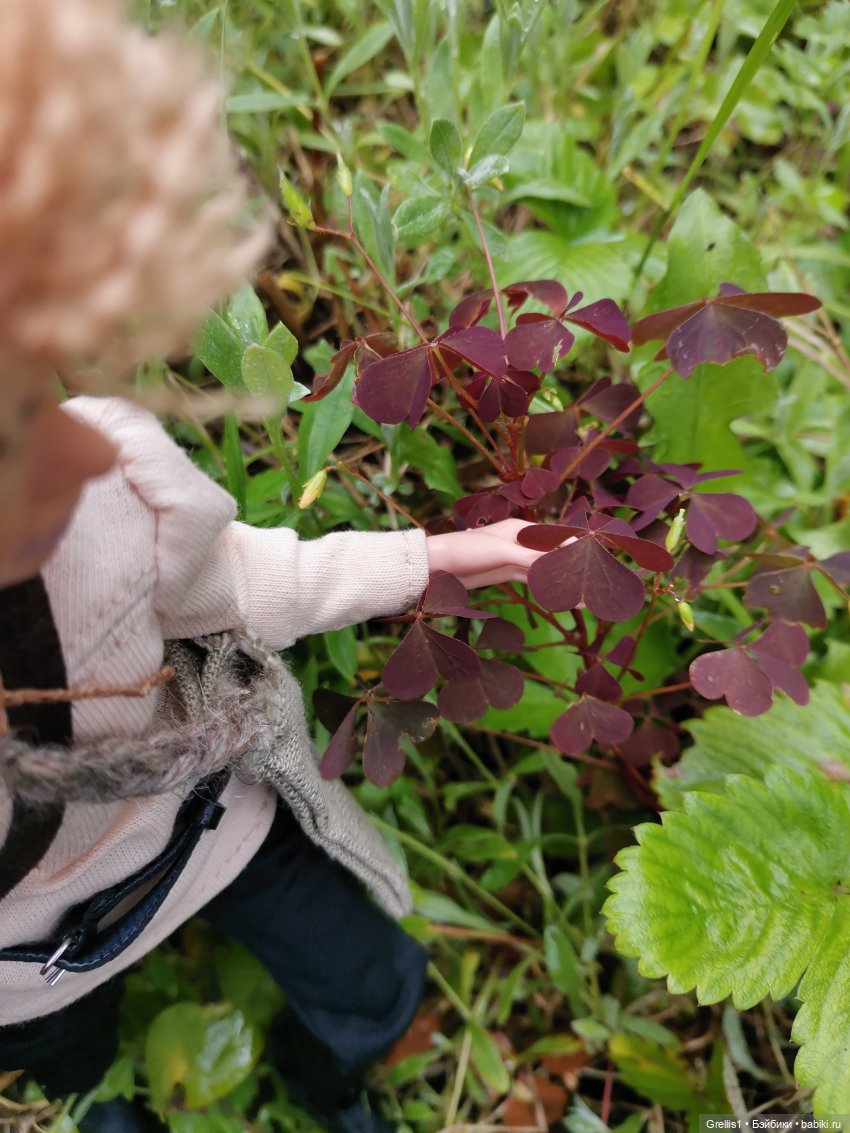 Диаваль в гостях у Руса — Кукольные фотоистории и сериалы: комиксы