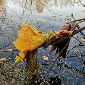 Осенняя феерия. АНОНС. 9 ноября