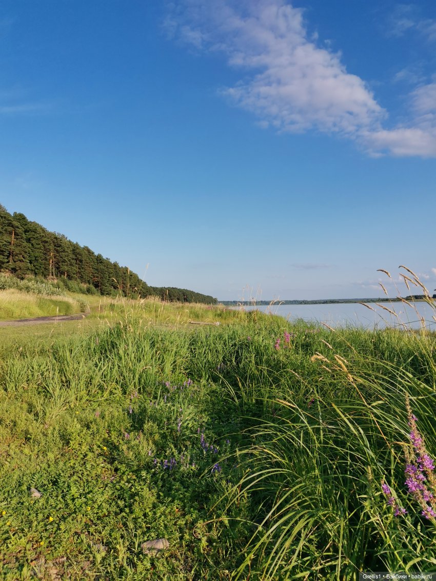 Группа "Нота"- На заре. Музфест - 2025