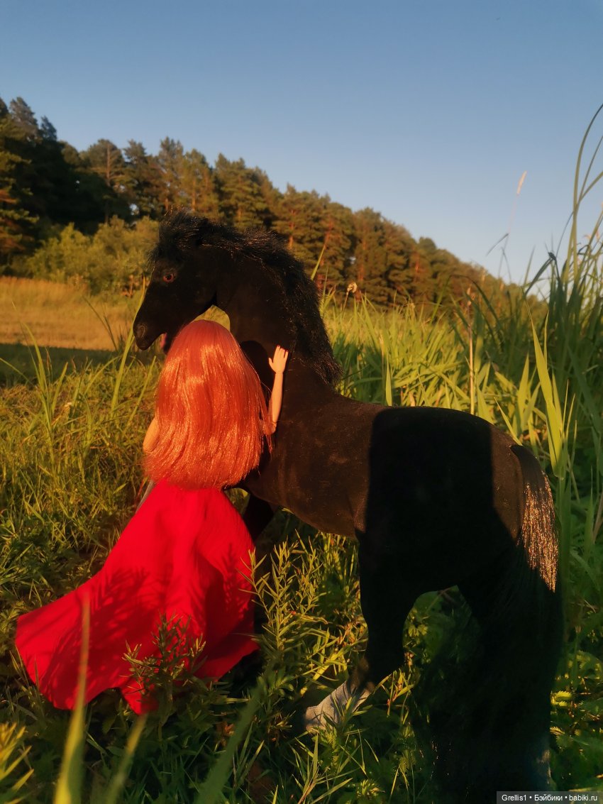 Группа "Нота"- На заре. Музфест - 2025