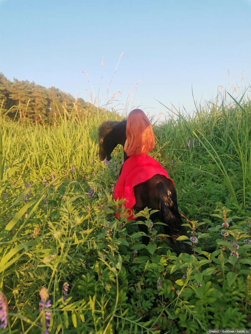 Группа "Нота"- На заре. Музфест - 2025