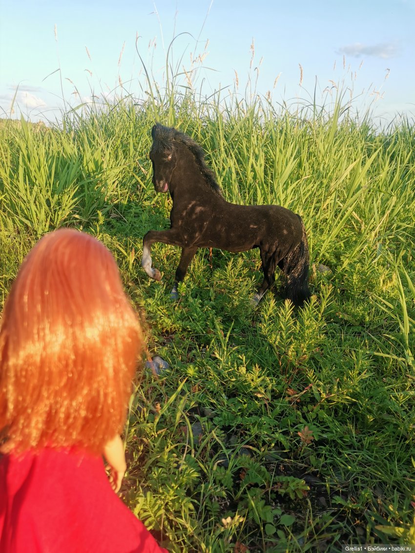 Группа "Нота"- На заре. Музфест - 2025