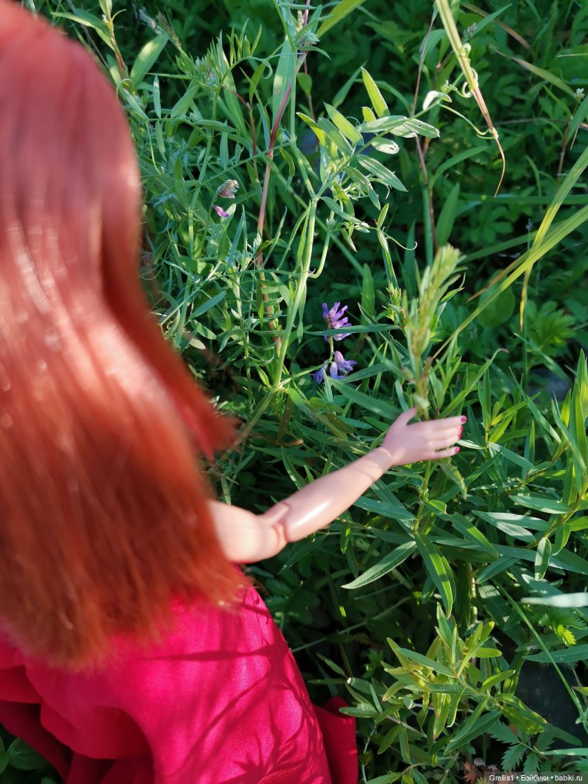 Группа "Нота"- На заре. Музфест - 2025