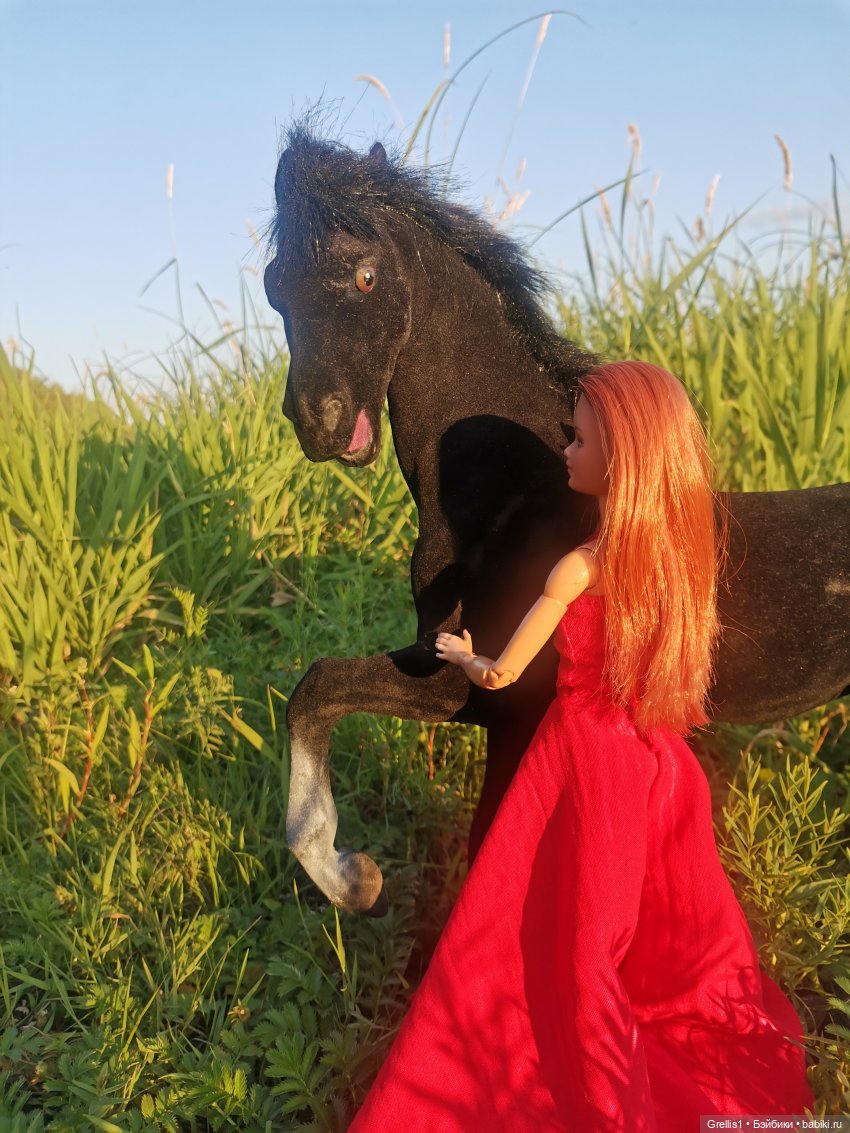 Группа "Нота"- На заре. Музфест - 2025